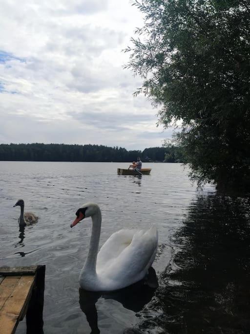 Wrzosowe Wzgorze - Domek Wiejski Klaczno Extérieur photo